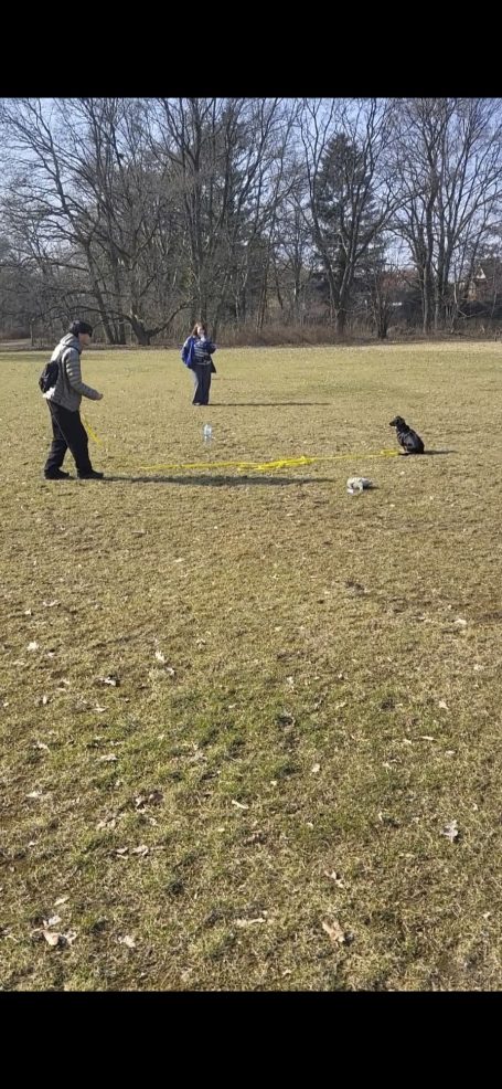 Zwei Personen spielen mit einem Hund auf einer grünen Wiese.