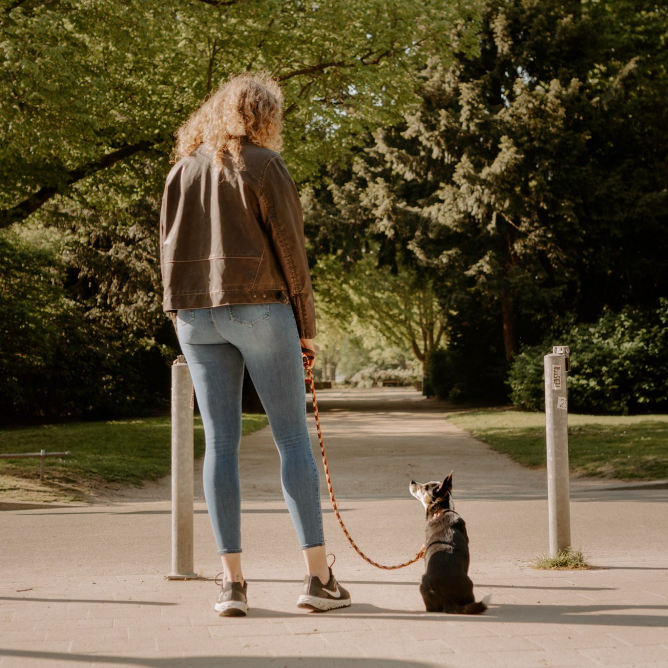 Frau steht im Hintergrund, zwei Hunde sitzen im Vordergrund auf grünem Gras.
