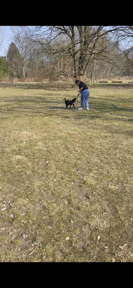 Person mit Hund auf einer Wiese, im Hintergrund ein großer Baum.