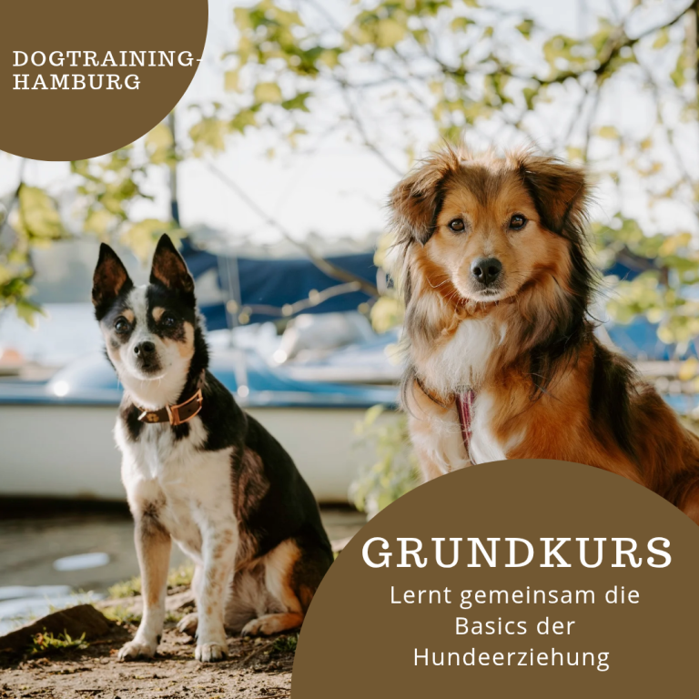 Zwei Hunde sitzen nebeneinander am Ufer, Hintergrund mit Booten und Bäumen.