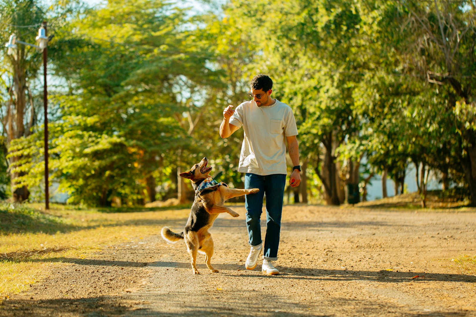 Mann geht mit Hund auf einem Weg durch einen sonnigen Park.