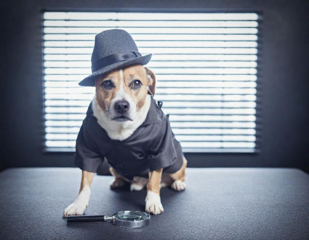 Beagle in einem Detektiv-Outfit mit Hut und Lupe sitzt an einem Tisch.