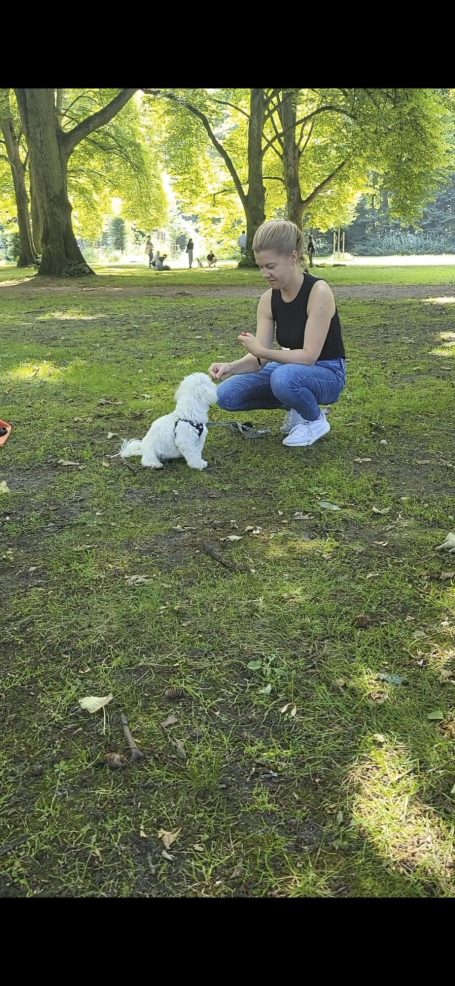 Eine Frau sitzt im Gras und interagiert mit einem kleinen weißen Hund.