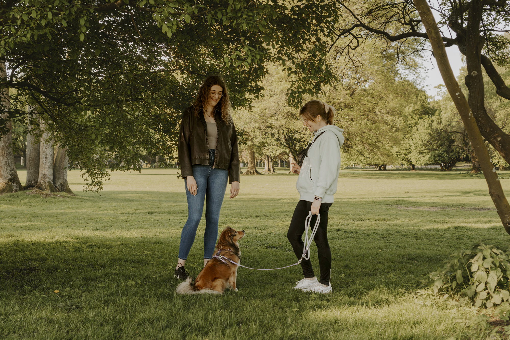 Zwei Personen mit einem Hund im Park, umgeben von Bäumen und Gras.